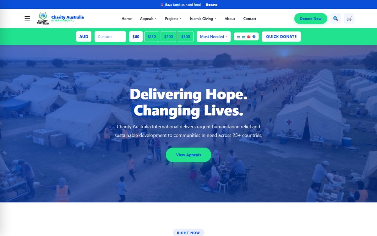 Charity Australia International website